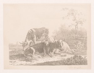 Three Cows in a Meadow by a Fence