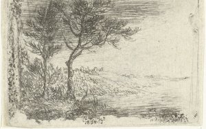 Landscape with Two Trees