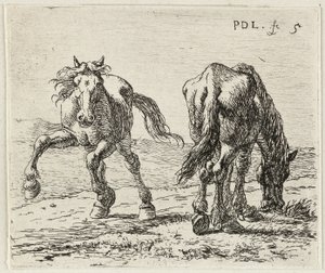 Two Horses in a Pasture by Pieter van Laer