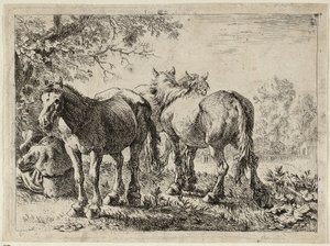 Three Horses in a Field by Pieter van Laer