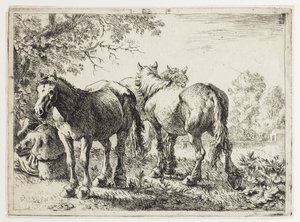 Three Horses in a Field