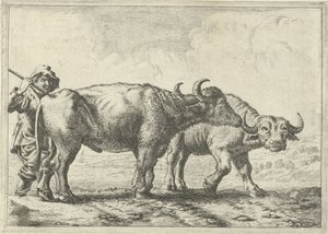 Two Buffaloes and a Herdsman by Pieter van Laer