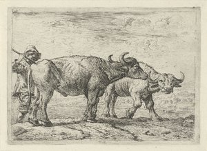 Two Buffaloes and a Herdsman by Pieter van Laer