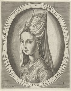 Portrait of Camalia, Daughter of Suleyman I the Great by Pieter van der Heyden