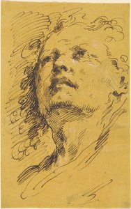 Head of a Man Looking Up by Pietro Antonio Novelli