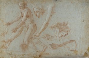 Drawing