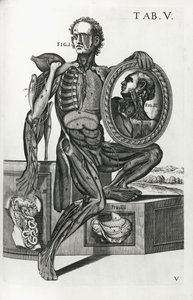 Plate V from 