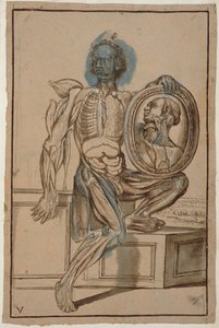 Ms Hunter 653 Plate V Anatomical Drawing, c.1610