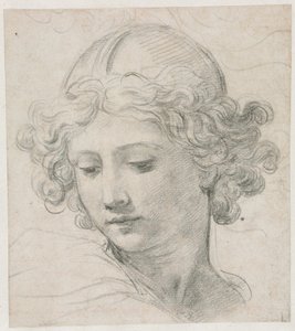 Study for the Head of St. Michael by Pietro da Cortona