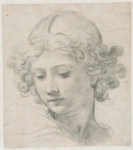 Study for the Head of St. Michael, 1633 by Pietro da Cortona