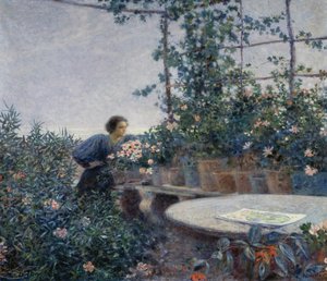 In the evening