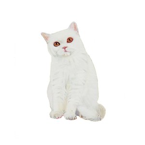 British Shorthair White, 2014 by Polly Horner