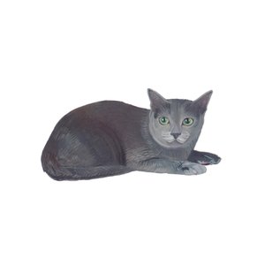 Korat, 2014 by Polly Horner