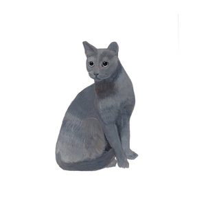 Russian Blue, 2014 by Polly Horner
