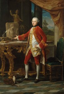 Portrait of a Young Man
