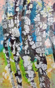 Vibrant Birch Woods