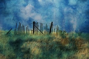 Coastal Fence Blue Sky by Porter Thomas