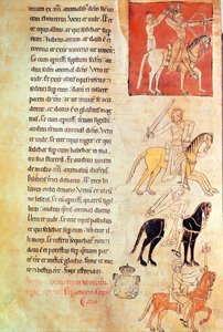 The Four Horsemen of the Apocalypse, from the Apocalypse of St. Jean de Lorvao by Portuguese School