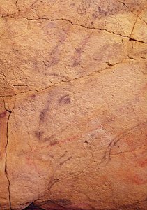 Head of a Small Stag, from the Caves at Altamira by Prehistoric