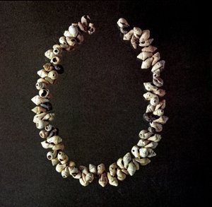 Necklace of Shells from the Cave of Polesine by Prehistoric Prehistoric