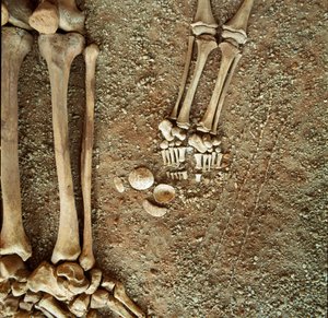 Double Sepulture of Adults and Children (detail) by Prehistoric Prehistoric