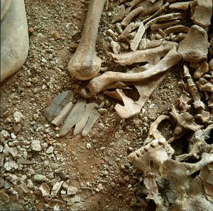 Prehistory: double sepulture of adults and children. Detail view of the funeral trousseau from the Candid Arene Cave (Finale Liguria), Liguria. Mesolithic, 7000-6000 BC. Genes, museo di archeologia ligure by Prehistoric Prehistoric