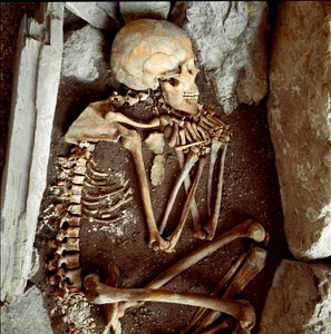 Female skeleton from the cave of the Candide Arene. Stone age, neolithic. Museo di archeologia Ligure, Genoa by Prehistoric Prehistoric