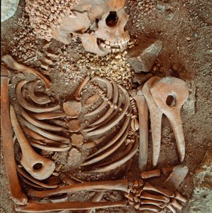 Skeleton and funerary trousseau of teenagers said of the young prince from the cave of the Arene Candide: necklace of shells, deer horn and flint. Stone Age, Upper Paleolithic. Museo di archeologia Ligure, Genoa by Prehistoric Prehistoric