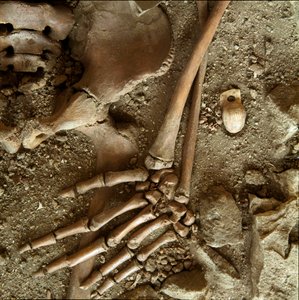 Prehistory: Teenage Sepulture (Detail) by Prehistoric Prehistoric