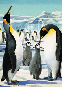 King Penguin by R.B. Davis