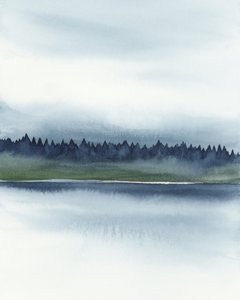 Misty Forest Lake