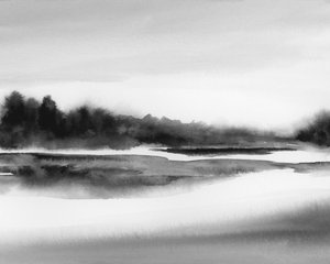 Serene Misty Landscape