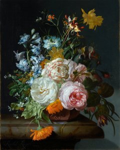 Flowers in a Terracotta Vase