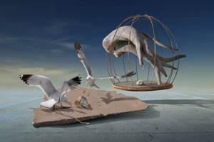 Seagulls Escape Surreal Cage