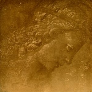 Study on an Angel Head by Raffaellino del Garbo