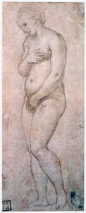 Study of Venus