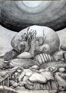 The Stone Egg by Raimondo Gambino