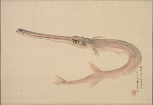 Needlefish Yagara by Raisho Nakajima