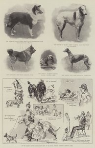 At the Ladies