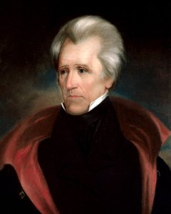 Andrew Jackson Head (Cropped 4x5)
