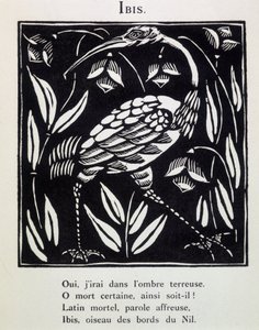 Ibis - in "Le Bestiaire ou cortège d