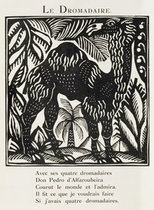 The Dromedary, Illustration from 