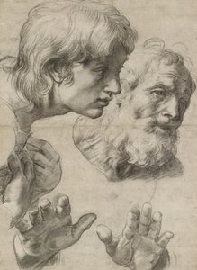 Studies of the Heads of Two Apostles and of Their Hands by Raphael