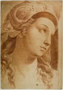 Head of Comity by Raphael