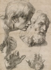 Studies of the Heads of Two Apostles and of Their Hands, 16th century by Raphael