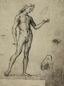 Male Nude Study