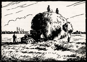 Hay Collection by Raymond Bonnefon