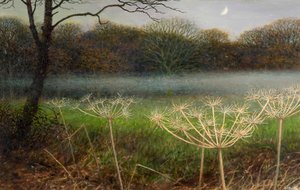 December at dusk: mist over the fields by Raymond Booth
