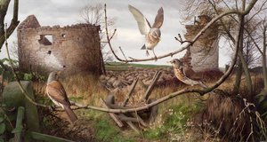 Fieldfares at Eccup, West Yorkshire by Raymond Booth