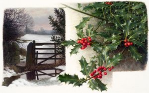 Midwinter thaw with holly by Raymond Booth